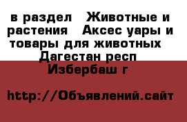  в раздел : Животные и растения » Аксесcуары и товары для животных . Дагестан респ.,Избербаш г.